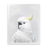 Shop White Cockatoo Art Print-Animals, Baby Nursery, Birds, Portrait, View All, White-framed painted poster wall decor artwork