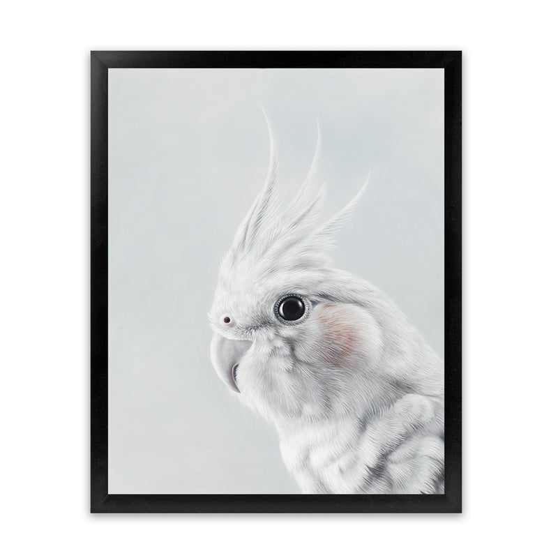 Shop Cockatiel Art Print-Animals, Baby Nursery, Birds, Grey, Portrait, View All, White-framed painted poster wall decor artwork