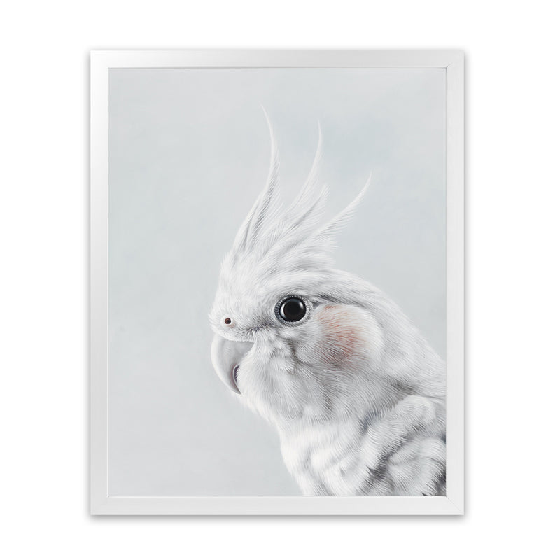 Shop Cockatiel Art Print-Animals, Baby Nursery, Birds, Grey, Portrait, View All, White-framed painted poster wall decor artwork