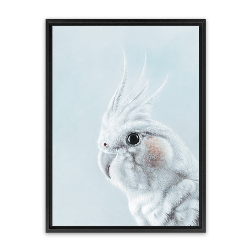 Shop Cockatiel in Blue Canvas Art Print-Animals, Baby Nursery, Birds, Blue, Portrait, View All, White-framed wall decor artwork