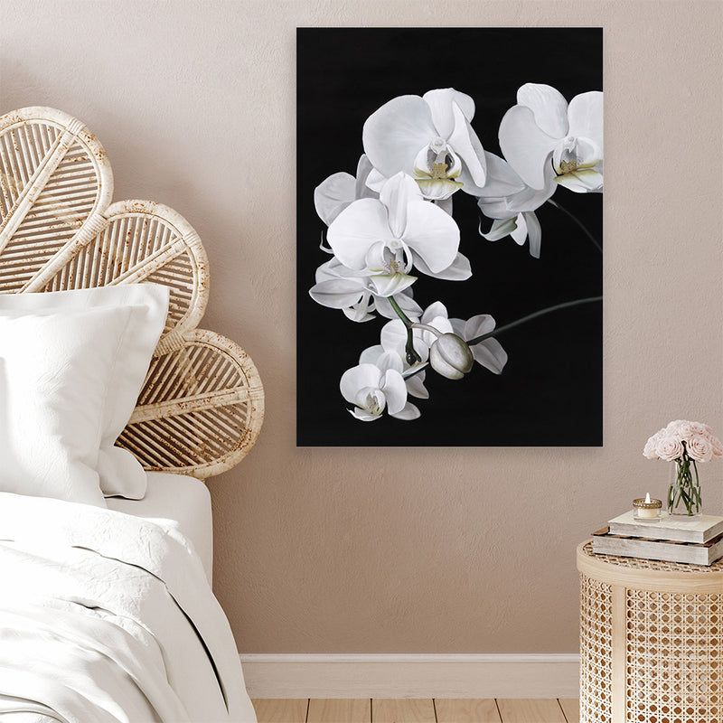 Shop Orchid Canvas Art Print-Black, Florals, Hamptons, Portrait, Scandinavian, View All, White-framed wall decor artwork