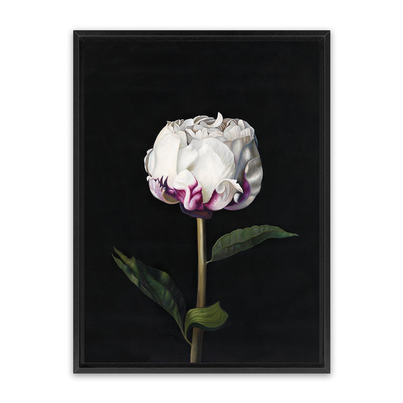 Shop Peony Canvas Art Print-Black, Florals, Hamptons, Portrait, View All-framed wall decor artwork