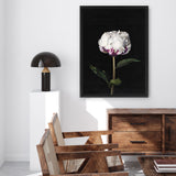 Shop Peony Canvas Art Print-Black, Florals, Hamptons, Portrait, View All-framed wall decor artwork