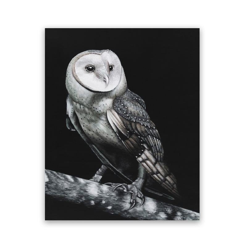 Shop Owl Art Print-Animals, Birds, Black, Portrait, Scandinavian, View All-framed painted poster wall decor artwork