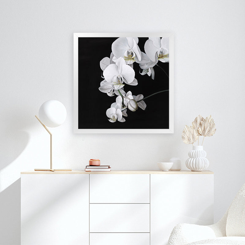 Shop Orchid (Square) Art Print-Black, Botanicals, Florals, Hamptons, Scandinavian, Square, View All, White-framed painted poster wall decor artwork