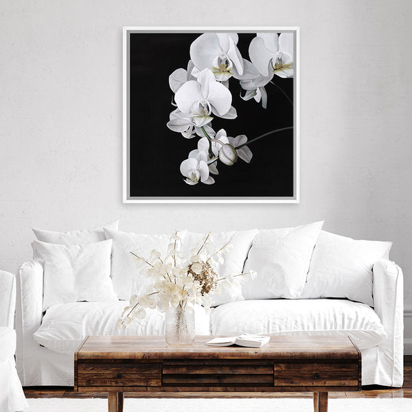 Shop Orchid (Square) Canvas Art Print-Black, Botanicals, Florals, Hamptons, Scandinavian, Square, View All, White-framed wall decor artwork