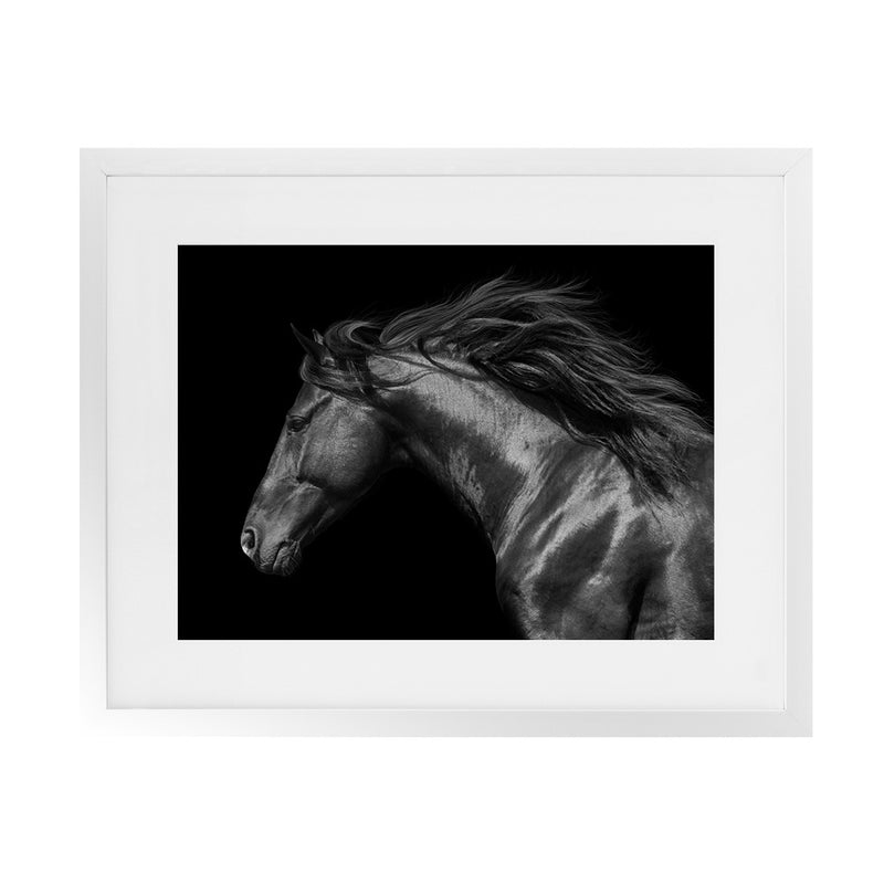 Shop Black Horse Photo Art Print-Animals, Black, Horizontal, Landscape, Photography, Rectangle, View All-framed poster wall decor artwork
