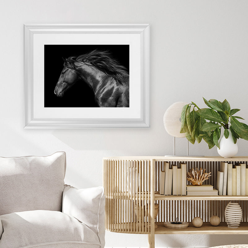 Shop Black Horse Photo Art Print-Animals, Black, Horizontal, Landscape, Photography, Rectangle, View All-framed poster wall decor artwork