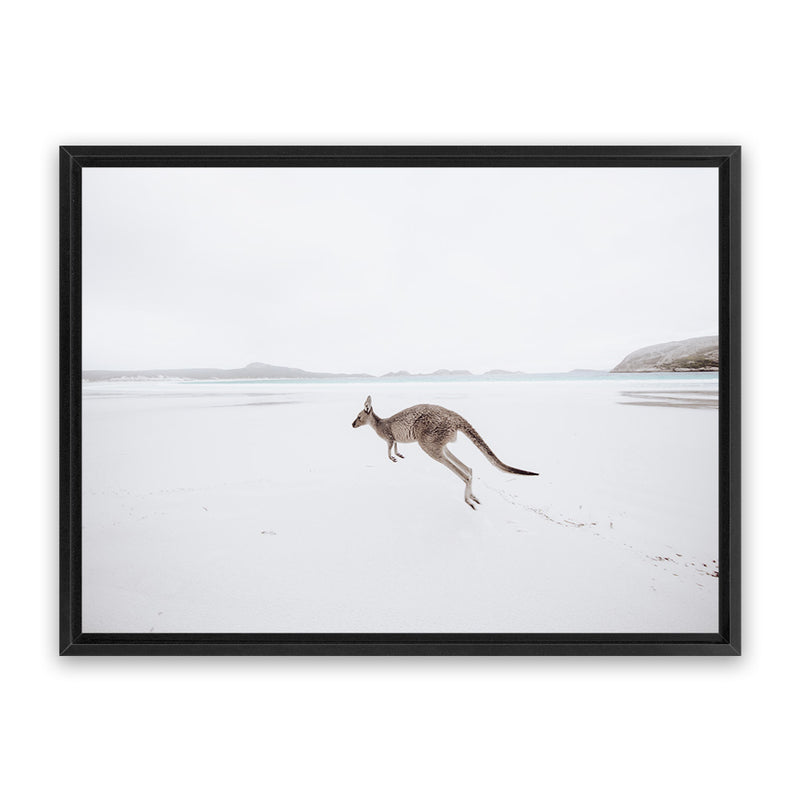 Shop Beach Kangaroo Photo Canvas Art Print-Animals, Baby Nursery, Coastal, Landscape, Neutrals, Photography, Photography Canvas Prints, View All-framed wall decor artwork