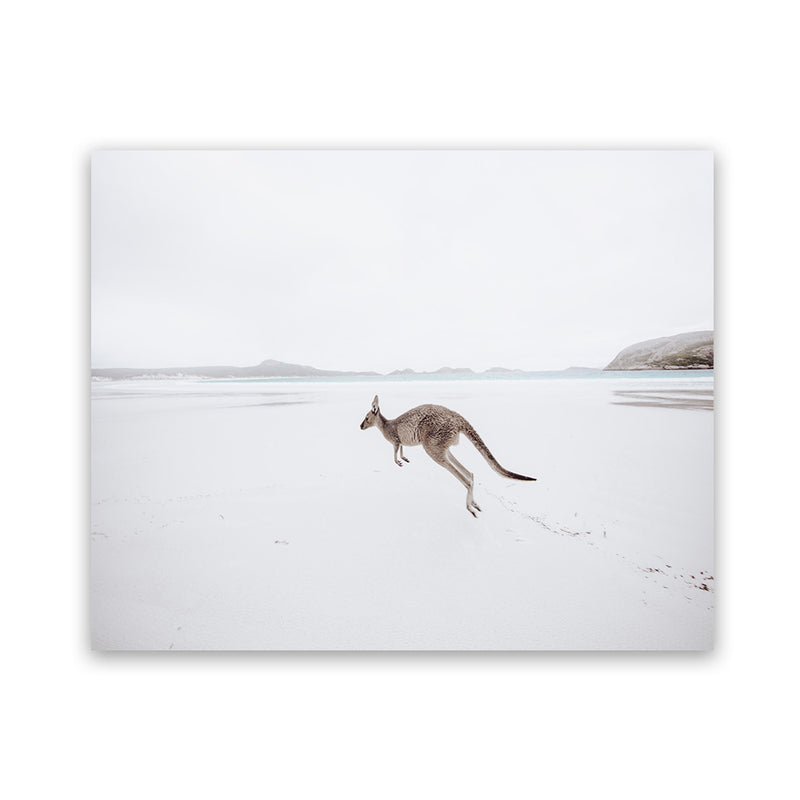 Shop Beach Kangaroo Photo Art Print-Animals, Baby Nursery, Coastal, Landscape, Neutrals, Photography, View All-framed poster wall decor artwork