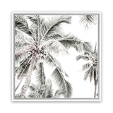 Shop Coconut Palms (Square) Photo Canvas Art Print-Boho, Coastal, Green, Hamptons, Photography, Photography Canvas Prints, Square, Tropical, View All, White-framed wall decor artwork