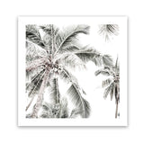 Shop Coconut Palms (Square) Photo Art Print-Boho, Coastal, Green, Hamptons, Photography, Square, Tropical, View All, White-framed poster wall decor artwork