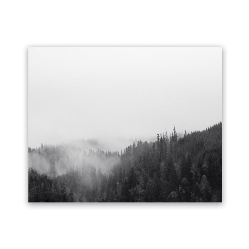 Shop Frosty Forest II Photo Art Print-Black, Grey, Horizontal, Landscape, Nature, Photography, Rectangle, View All-framed poster wall decor artwork