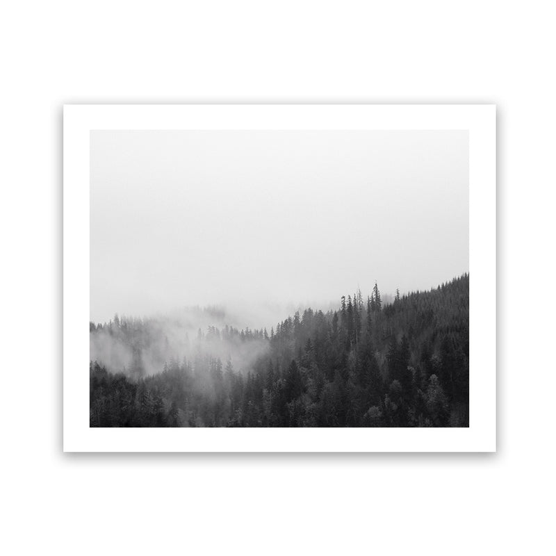 Shop Frosty Forest II Photo Art Print-Black, Grey, Horizontal, Landscape, Nature, Photography, Rectangle, View All-framed poster wall decor artwork