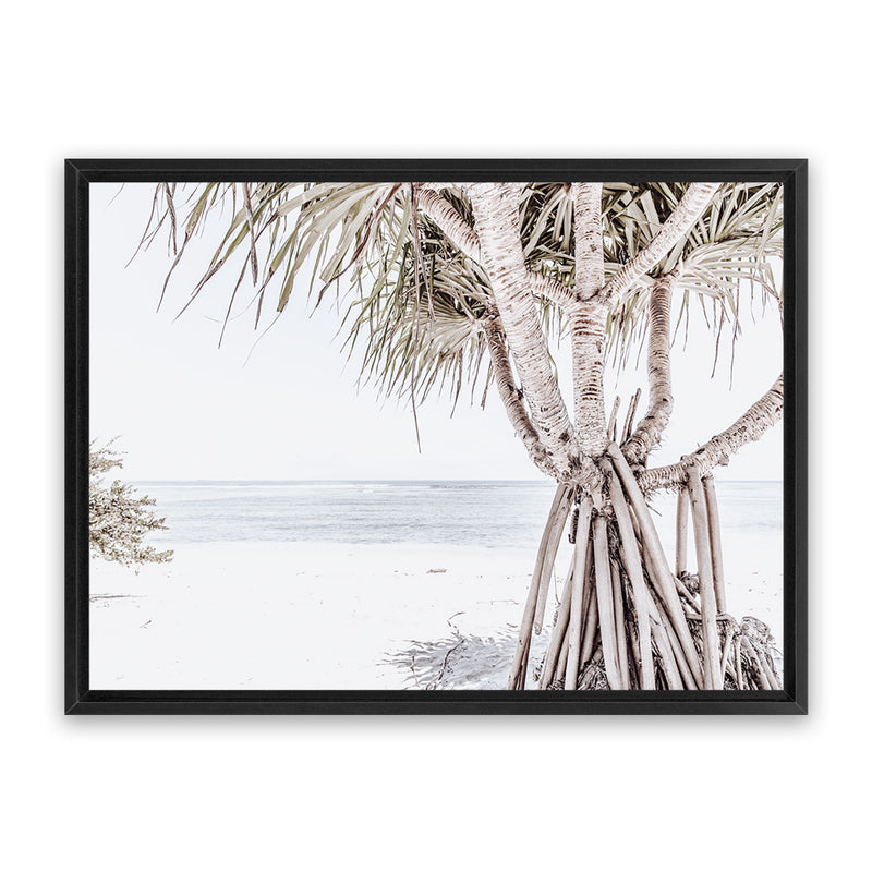 Shop Pandanus Palm Tree Photo Canvas Art Print-Boho, Botanicals, Coastal, Green, Landscape, Neutrals, Photography, Photography Canvas Prints, Tropical, View All, White-framed wall decor artwork