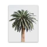 Shop Coconut Palm Tree Photo Art Print-Botanicals, Green, Neutrals, Photography, Portrait, Tropical, View All-framed poster wall decor artwork