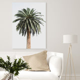 Shop Coconut Palm Tree Photo Canvas Art Print-Botanicals, Green, Neutrals, Photography Canvas Prints, Portrait, Tropical, View All-framed wall decor artwork