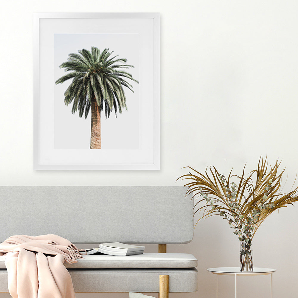 coconut palm tree paintings Buy Coconut Palm Tree Photo Art Print