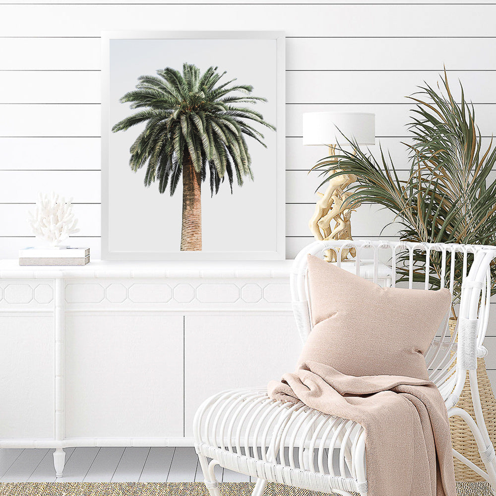 coconut palm print Buy Coconut Palm Tree Photo Art Print