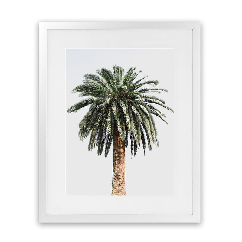 Shop Coconut Palm Tree Photo Art Print-Botanicals, Green, Neutrals, Photography, Portrait, Tropical, View All-framed poster wall decor artwork