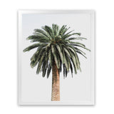 Shop Coconut Palm Tree Photo Art Print-Botanicals, Green, Neutrals, Photography, Portrait, Tropical, View All-framed poster wall decor artwork