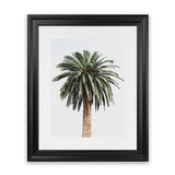 Shop Coconut Palm Tree Photo Art Print-Botanicals, Green, Neutrals, Photography, Portrait, Tropical, View All-framed poster wall decor artwork