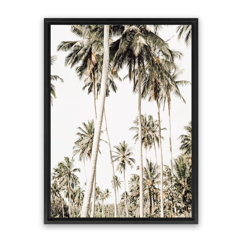 Shop Coconut Palm Plantation Photo Canvas Art Print-Boho, Botanicals, Coastal, Green, Photography, Photography Canvas Prints, Portrait, Tropical, View All-framed wall decor artwork