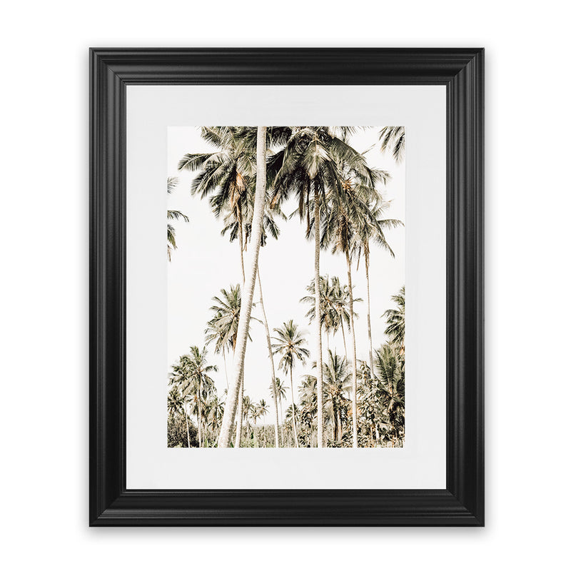 Shop Coconut Palm Plantation Photo Art Print-Boho, Botanicals, Coastal, Green, Photography, Portrait, Tropical, View All-framed poster wall decor artwork