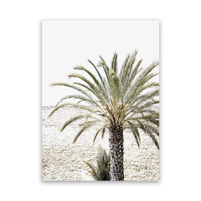 Shop Vacation Palm Photo Canvas Art Print-Boho, Botanicals, Coastal, Green, Moroccan Days, Photography, Photography Canvas Prints, Portrait, Tropical, View All-framed wall decor artwork