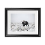Shop Snow Buffalo Photo Art Print-Animals, Black, Grey, Horizontal, Landscape, Photography, Rectangle, View All-framed poster wall decor artwork
