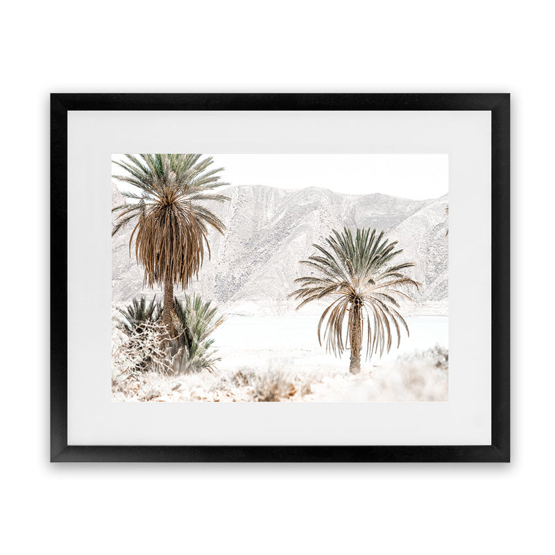 Shop Palm Valley Photo Art Print-Boho, Botanicals, Coastal, Green, Landscape, Moroccan Days, Neutrals, Photography, View All-framed poster wall decor artwork