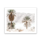 Shop Palm Valley Photo Art Print-Boho, Botanicals, Coastal, Green, Landscape, Moroccan Days, Neutrals, Photography, View All-framed poster wall decor artwork