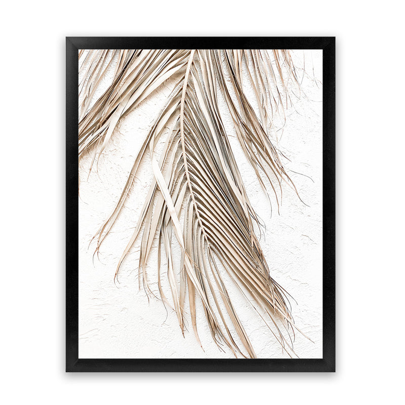 Shop Dried Palm Leaf II Photo Art Print-Boho, Brown, Coastal, Neutrals, Photography, Portrait, Tropical, View All, White-framed poster wall decor artwork