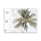 Shop Palm Hotel Photo Canvas Art Print-Boho, Coastal, Green, Landscape, Photography, Photography Canvas Prints, Tropical, View All, White-framed wall decor artwork