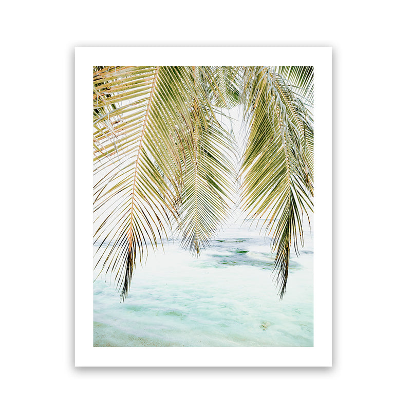 Shop Palm Shade Photo Art Print-Boho, Coastal, Green, Photography, Portrait, Tropical, View All-framed poster wall decor artwork