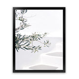 Shop Santorini Olive Branch Photo Art Print-Boho, Botanicals, Coastal, Greece, Green, Hamptons, Photography, Portrait, Tropical, View All, White-framed poster wall decor artwork