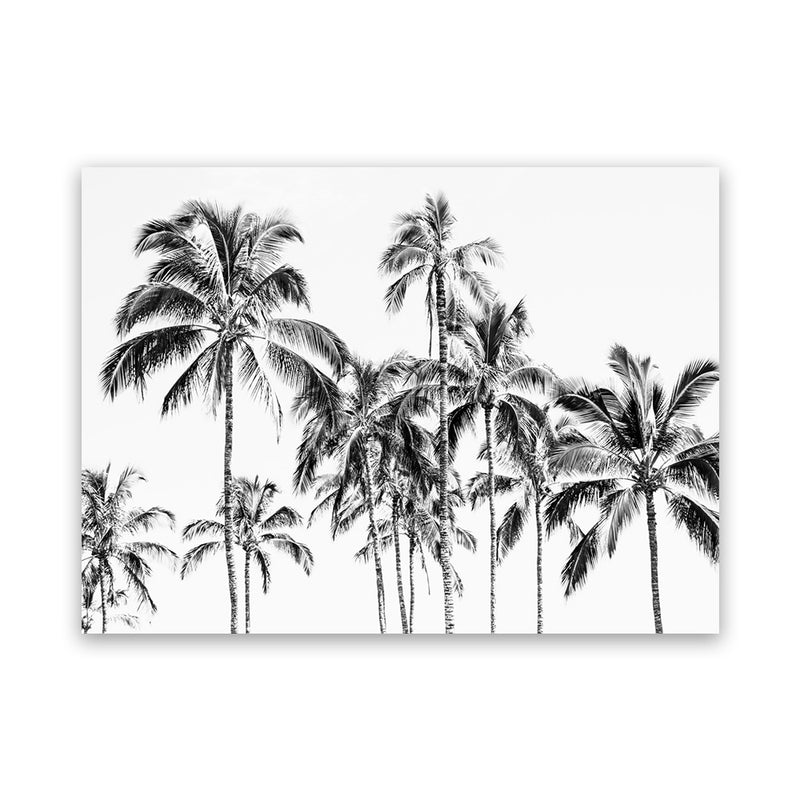 Shop Island Coconut Palms Photo Canvas Art Print-Black, Boho, Coastal, Landscape, Photography, Photography Canvas Prints, Tropical, View All, White-framed wall decor artwork