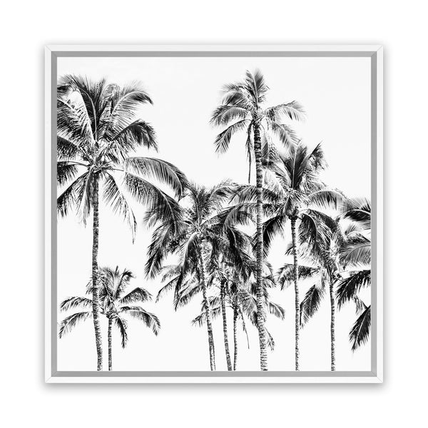 Shop Island Coconut Palms (Square) Photo Canvas Art Print-Black, Boho, Photography, Photography Canvas Prints, Square, Tropical, View All, White-framed wall decor artwork