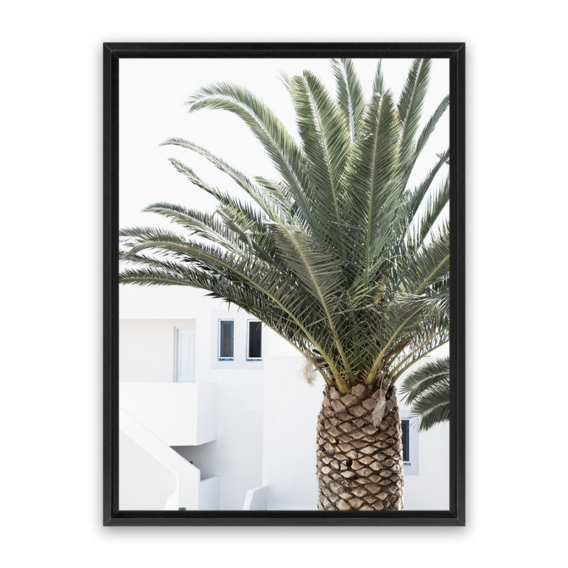 Shop Palm Courtyard Photo Canvas Art Print-Boho, Coastal, Greece, Green, Moroccan Days, Photography, Photography Canvas Prints, Portrait, Tropical, View All-framed wall decor artwork