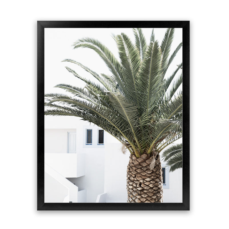 Shop Palm Courtyard Photo Art Print-Boho, Coastal, Greece, Green, Moroccan Days, Photography, Portrait, Tropical, View All-framed poster wall decor artwork