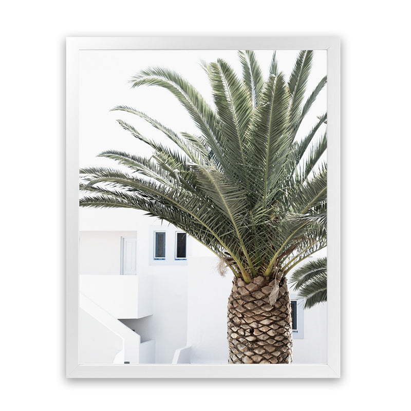 Shop Palm Courtyard Photo Art Print-Boho, Coastal, Greece, Green, Moroccan Days, Photography, Portrait, Tropical, View All-framed poster wall decor artwork