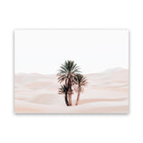 Shop Desert Palms I Photo Canvas Art Print-Horizontal, Landscape, Moroccan Days, Neutrals, Photography, Photography Canvas Prints, Pink, Rectangle, Tropical, View All-framed wall decor artwork