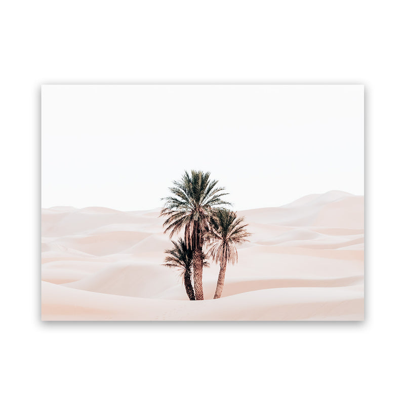 Shop Desert Palms I Photo Canvas Art Print-Horizontal, Landscape, Moroccan Days, Neutrals, Photography, Photography Canvas Prints, Pink, Rectangle, Tropical, View All-framed wall decor artwork