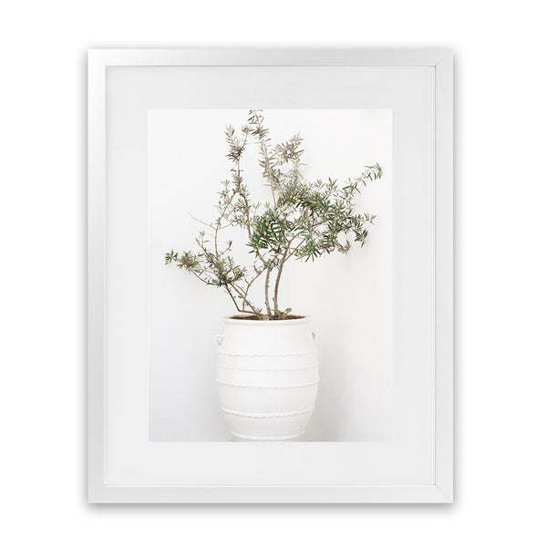 Shop Olive Tree Photo Art Print-Greece, Green, Photography, Portrait, View All, White-framed poster wall decor artwork