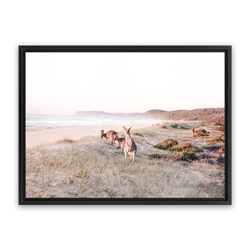 Shop Beach Kangaroos Photo Canvas Art Print-Animals, Horizontal, Landscape, Neutrals, Photography, Photography Canvas Prints, Rectangle, View All-framed wall decor artwork