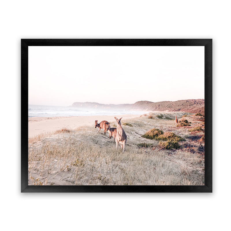 Shop Beach Kangaroos Photo Art Print-Animals, Horizontal, Neutrals, Photography, Rectangle, View All-framed poster wall decor artwork