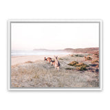 Shop Beach Kangaroos Photo Canvas Art Print-Animals, Horizontal, Landscape, Neutrals, Photography, Photography Canvas Prints, Rectangle, View All-framed wall decor artwork