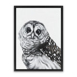 Shop Snow Owl Canvas Art Print-Animals, Birds, Black, Grey, Portrait, Rectangle, View All-framed wall decor artwork
