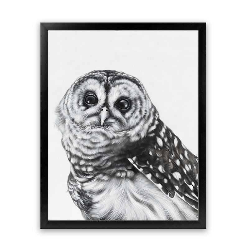 Shop Snow Owl Art Print-Animals, Birds, Black, Grey, Portrait, Rectangle, View All-framed painted poster wall decor artwork