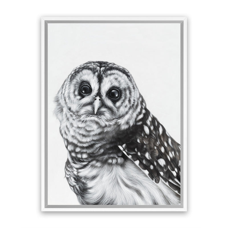 Shop Snow Owl Canvas Art Print-Animals, Birds, Black, Grey, Portrait, Rectangle, View All-framed wall decor artwork